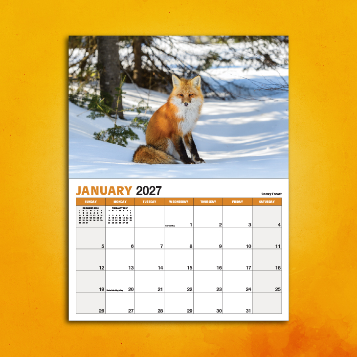 2027 Into the Wild January Spread